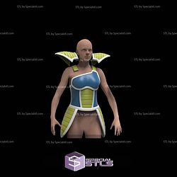 Cosplay STL Files Saiyan Armor Female 3D Model