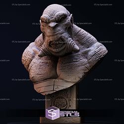 Simple STL Collection Mr Wink Bust Hellboy 3D Model