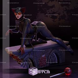 Catwoman Crawling on Wall STL Files 3D Model