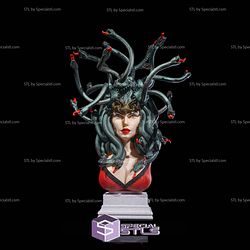 Enchant Medusa Bust 3D Printing Models STL Model