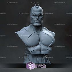 Black Bolt Bust 125mm STL Files 3D Model