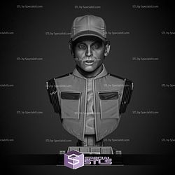 Marty McFly Portrait Bust Digital STL Files 3D Model