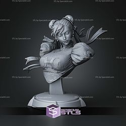 Chun-Li Street Fighter Bust 120mm STL Files 3D Model