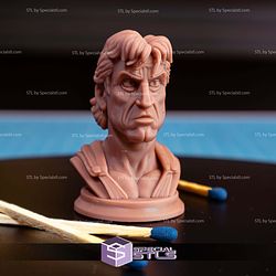 Mini Bust Character Collection STL Rambo 3D Model