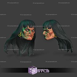 Custom Head STL Collection - Conan Frank Frazetta 3D Model