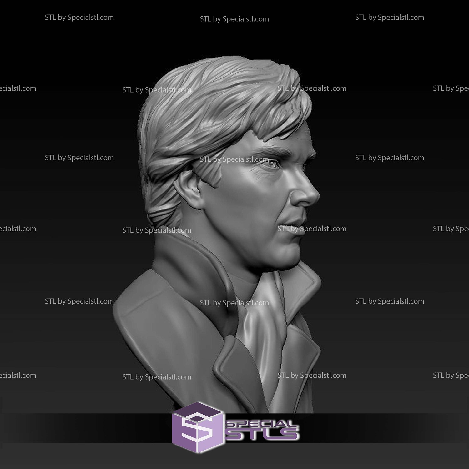 Benedict Cumberbatch Bust V2 Digital STL Files 3D Model — view 3