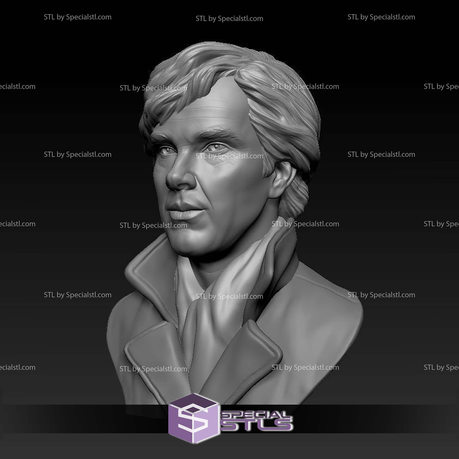 Benedict Cumberbatch Bust V2 Digital STL Files 3D Model — view 4