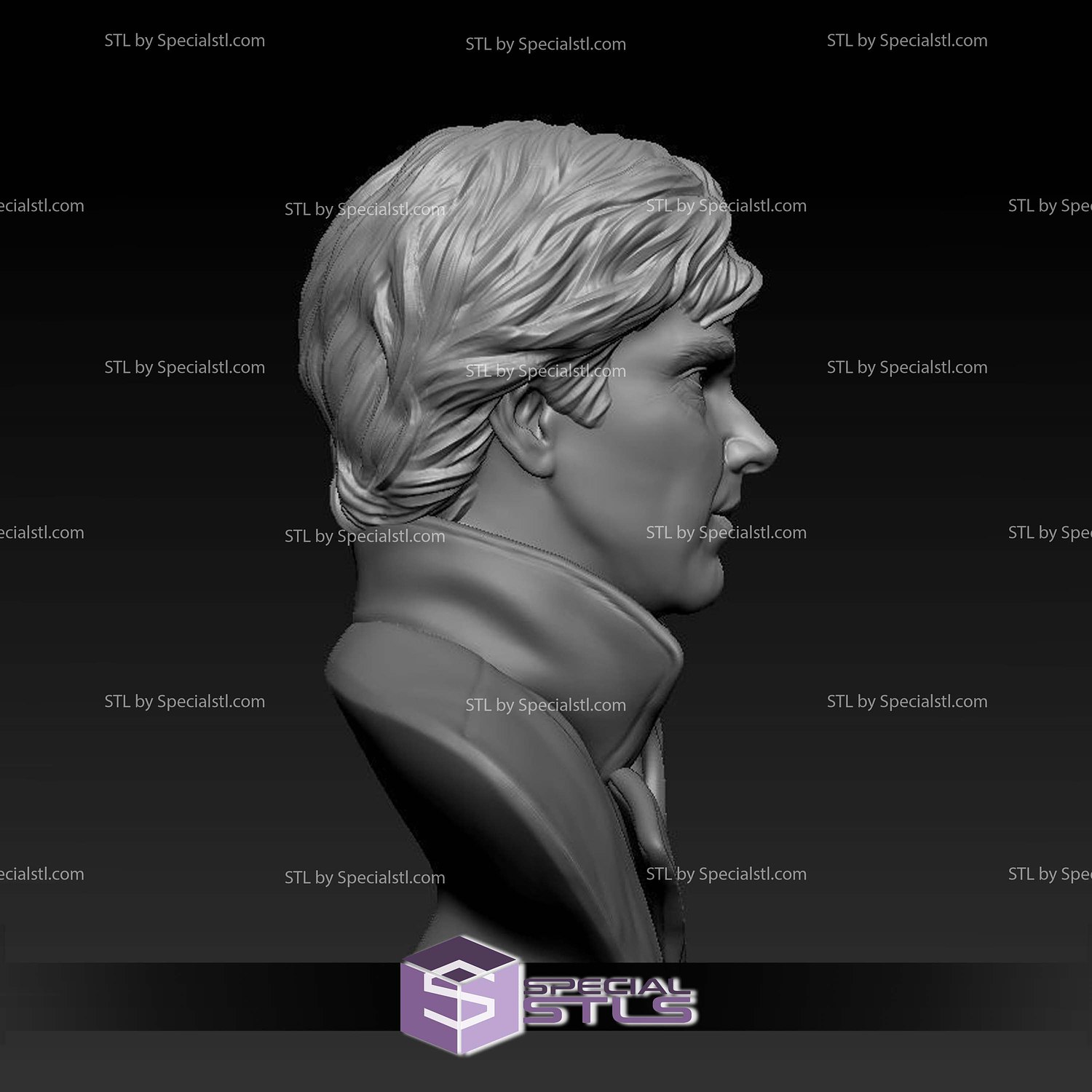 Benedict Cumberbatch Bust V2 Digital STL Files 3D Model — view 5