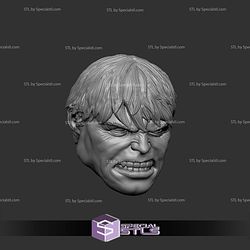 Custom Head STL Edward Norton Hulk 3D Model