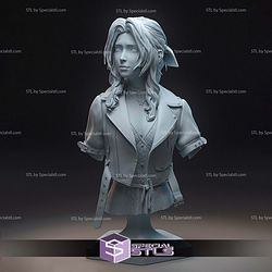 Aerith and The Guard Stick Bust STL Files 3D Model