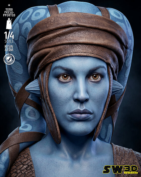 STAR WARS Aayla Secura Portrait Bust 3D PNG Model — view 6