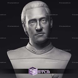 Brent Spiner LT Commander Data Bust 3D Printing Models STL Model