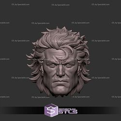 Custom Head STL Magneto V3 3D Model