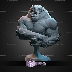 Rash Battletoads Bust STL Files 3D Model