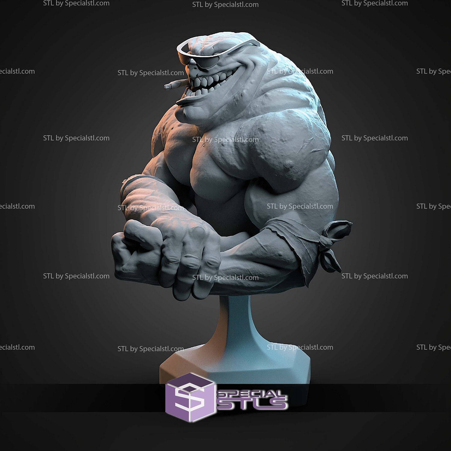 Rash Battletoads Bust STL Files 3D Model — view 3