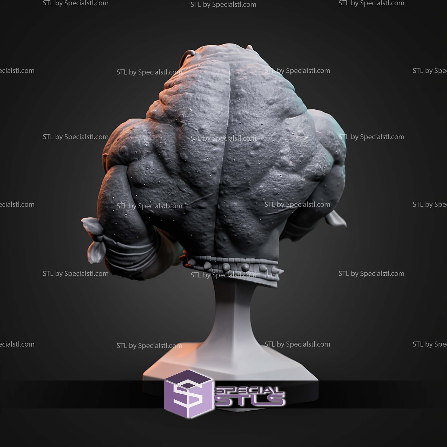 Rash Battletoads Bust STL Files 3D Model — view 4