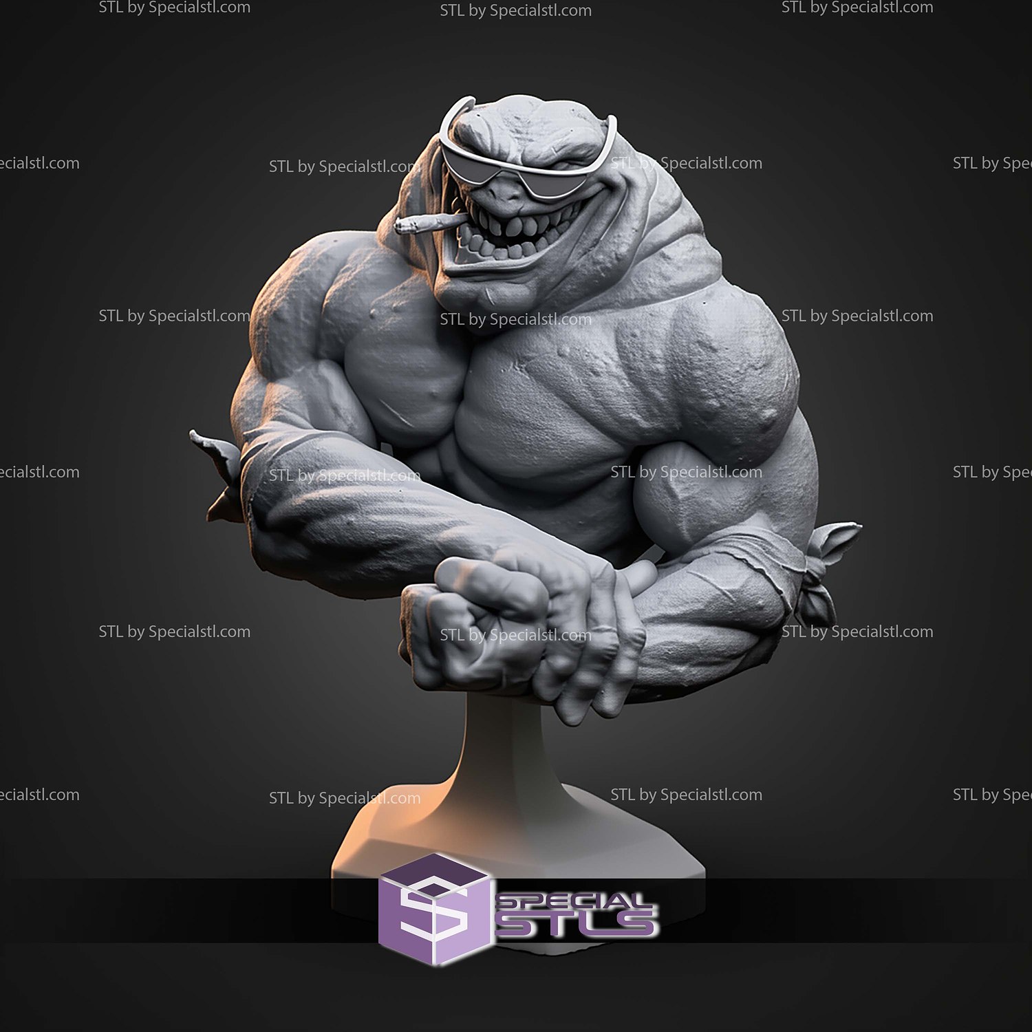 Rash Battletoads Bust STL Files 3D Model — view 5