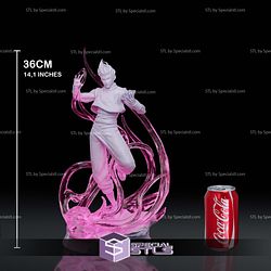 Hisoka Hunter X Hunter 3D Model Sculpture STL Model