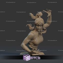 The Legend of Korra Bust 3D Printer Files STL Model — view 1