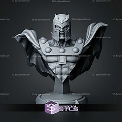 Magneto X Men Bust 152mm STL Files 3D Model