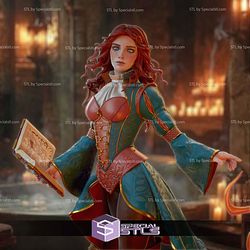 Triss Merigold The Witcher 1-8 3D Printer Files STL Model