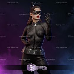 Anne Hathaway Catwoman 3D Printer Files STL Model