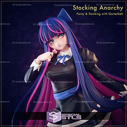 Stocking Anarchy 3D Printer Files STL Model — view 1