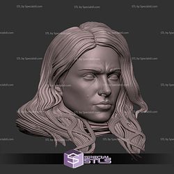 Custom Head STL Jane Foster 3D Model