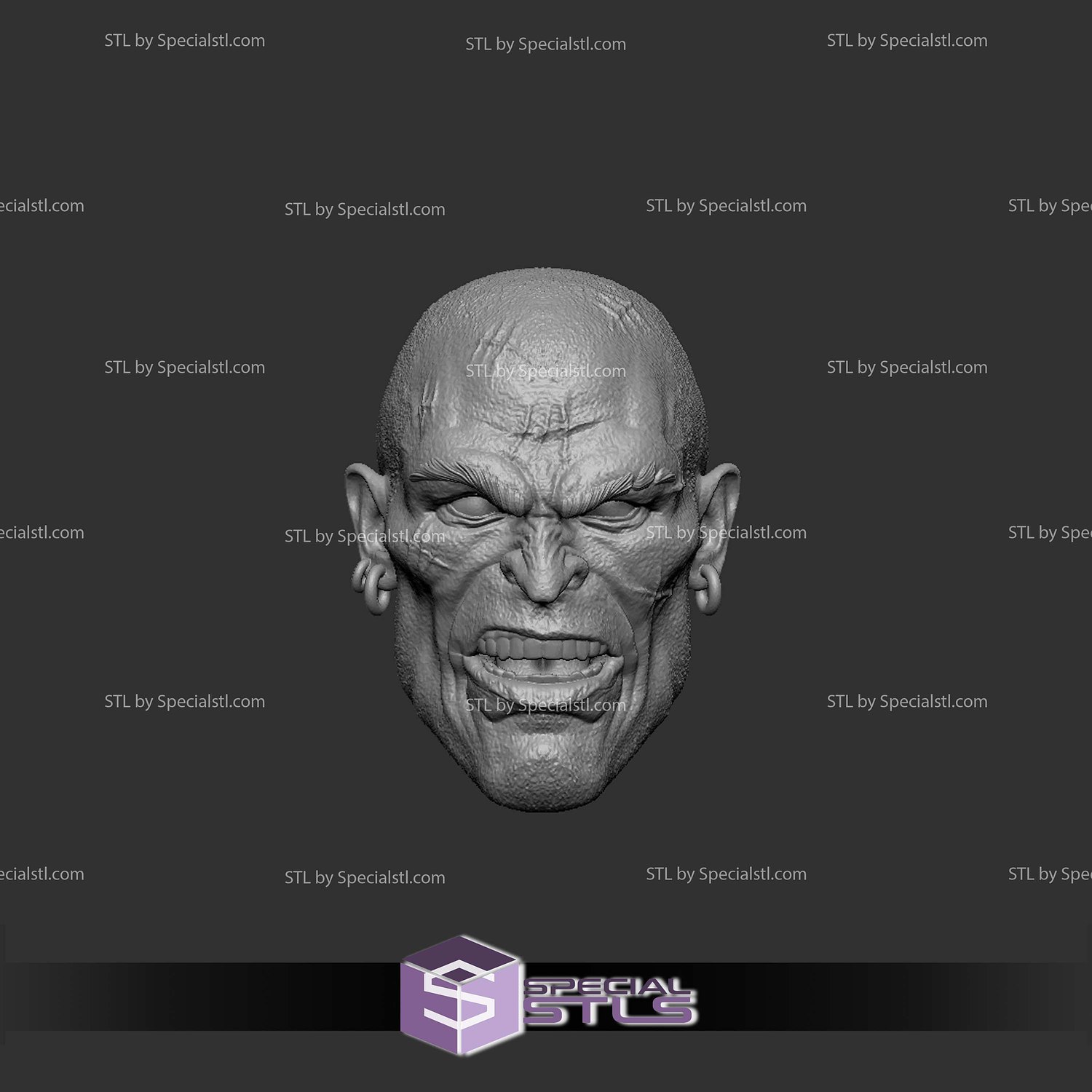 Custom Figure Head STL Collection - Victor Zsasz Surprise 3D Model — view 2