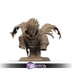 Vash the Stampede Cross Bust 3D Printer Files STL Model