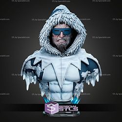 Captain Cold Portrait Bust 1-4 STL Files 3D Model