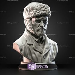 Mini Bust Character Collection STL Vincent van Gogh 3D Model