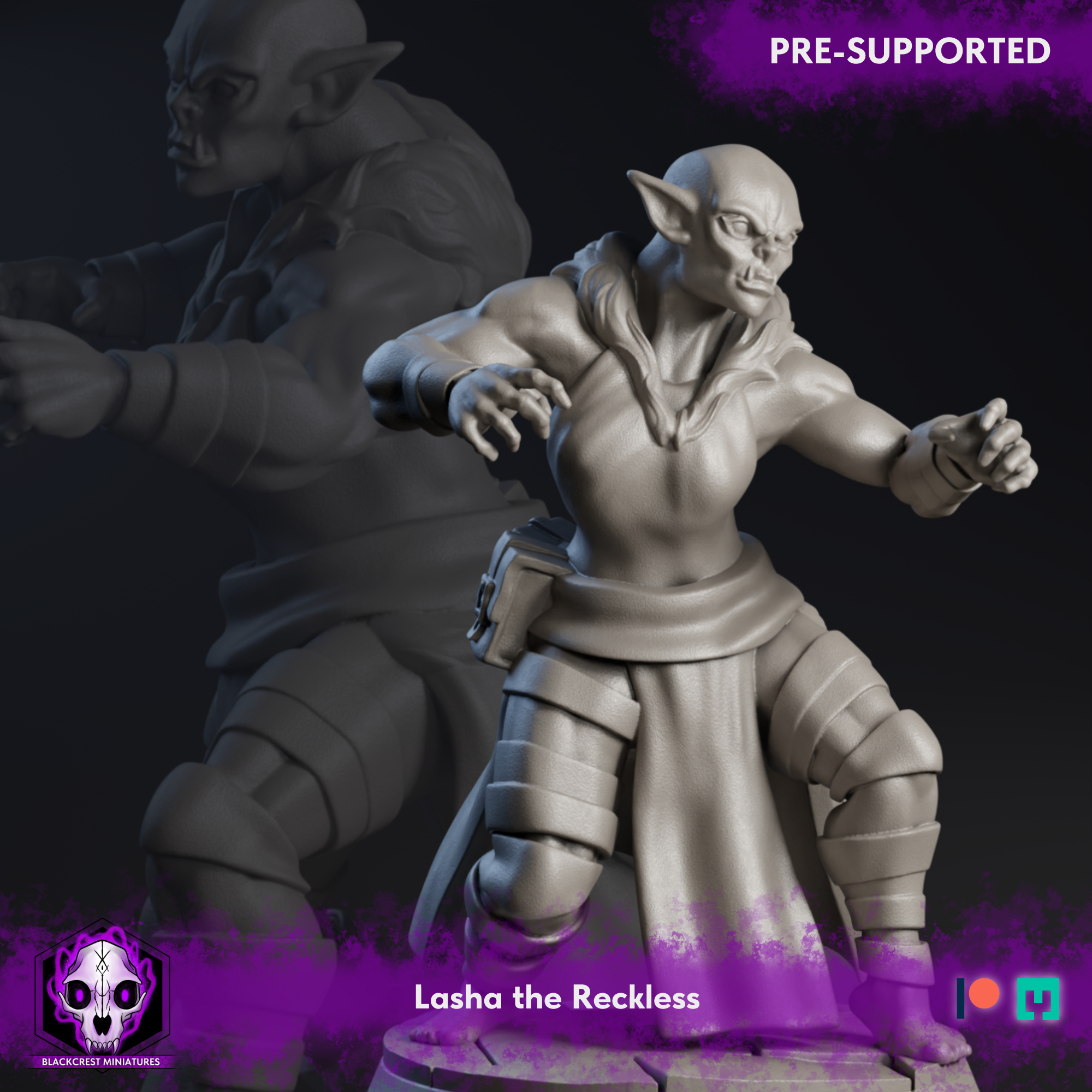 Caelitum Adventurers - Lasha the Reckless (Unsupported) 3D STL Model