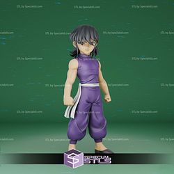 Kid Dragon Shiryu Training 3D Printer Files STL Model