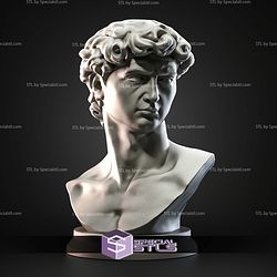 Mini Bust Character Collection STL David Michelangelo 3D Model