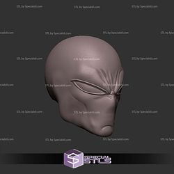 Custom Head STL Spiderman Ben Reilly V2 3D Model