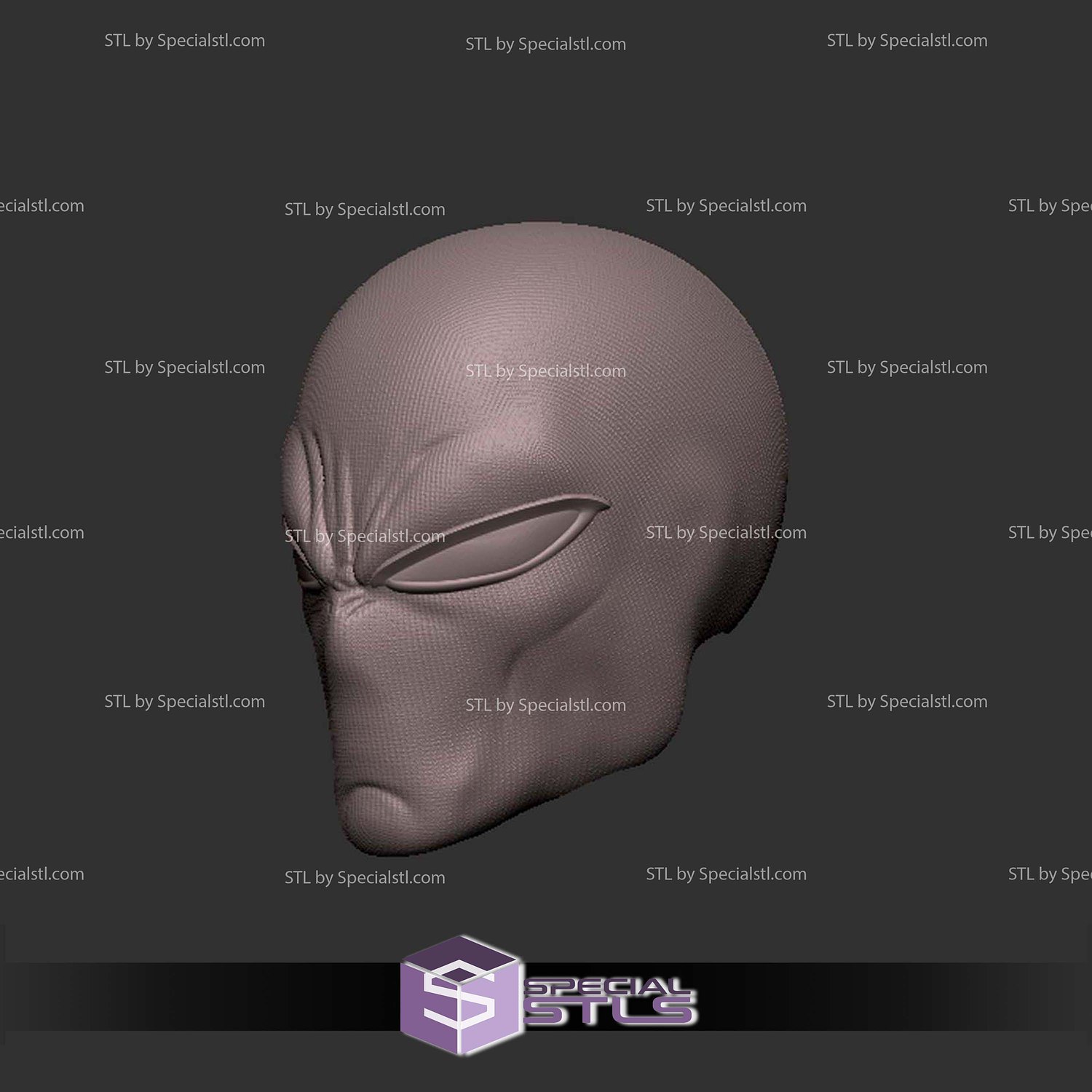Custom Head STL Spiderman Ben Reilly V2 3D Model — view 2