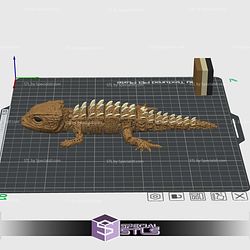Horned Lizard Color 3D Print STL Model