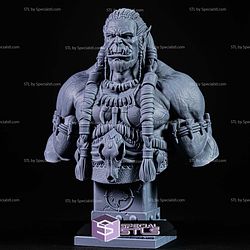 Simple STL Collection - Durotan Bust 3D Model