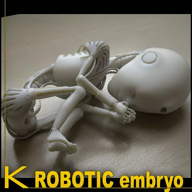 Robot 01 embryo 3D PDF Model