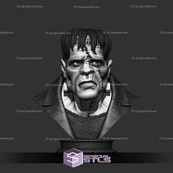 Simple STL Collection - Franky Bust 3D Model