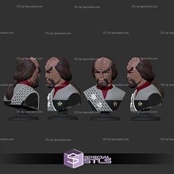 Simple STL Collection Worf Bust 3D Model