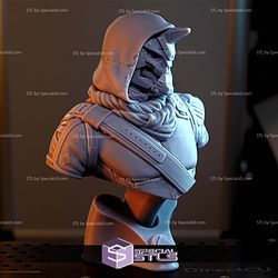 Cayde-6 Destiny Bust 3D Printer Files STL Model