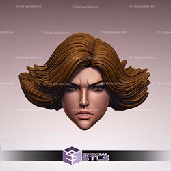 Custom Figure Head STL Collection - Meryl Silverburgh 3D Model