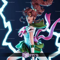 Makoto Kino Angry STL Files 3D Model