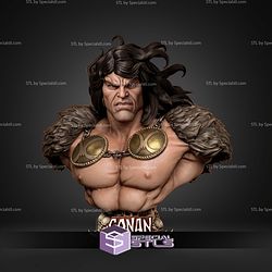 Conan The Barbarian Portrait Bust 328mm STL Files 3D Model