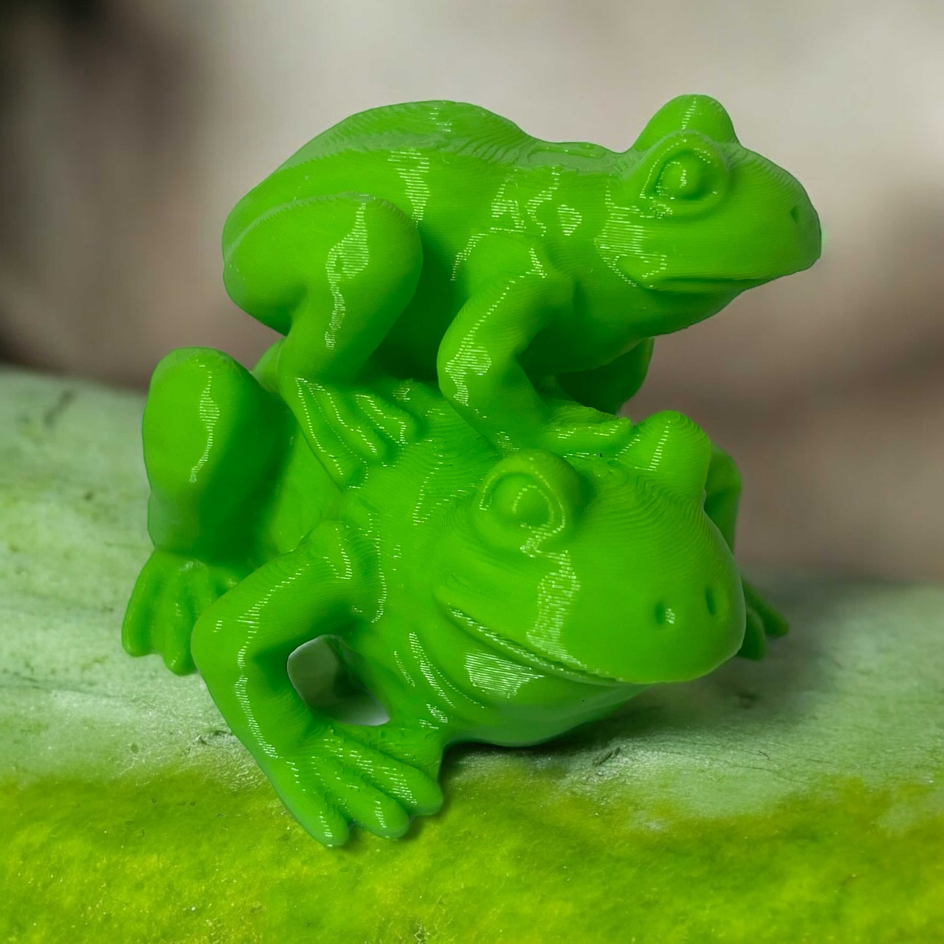Two Frog 3D STL Model