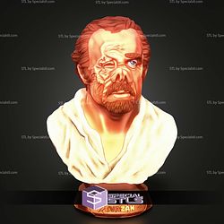 Basic STL Collection Doc Evazan Bust 3D Model