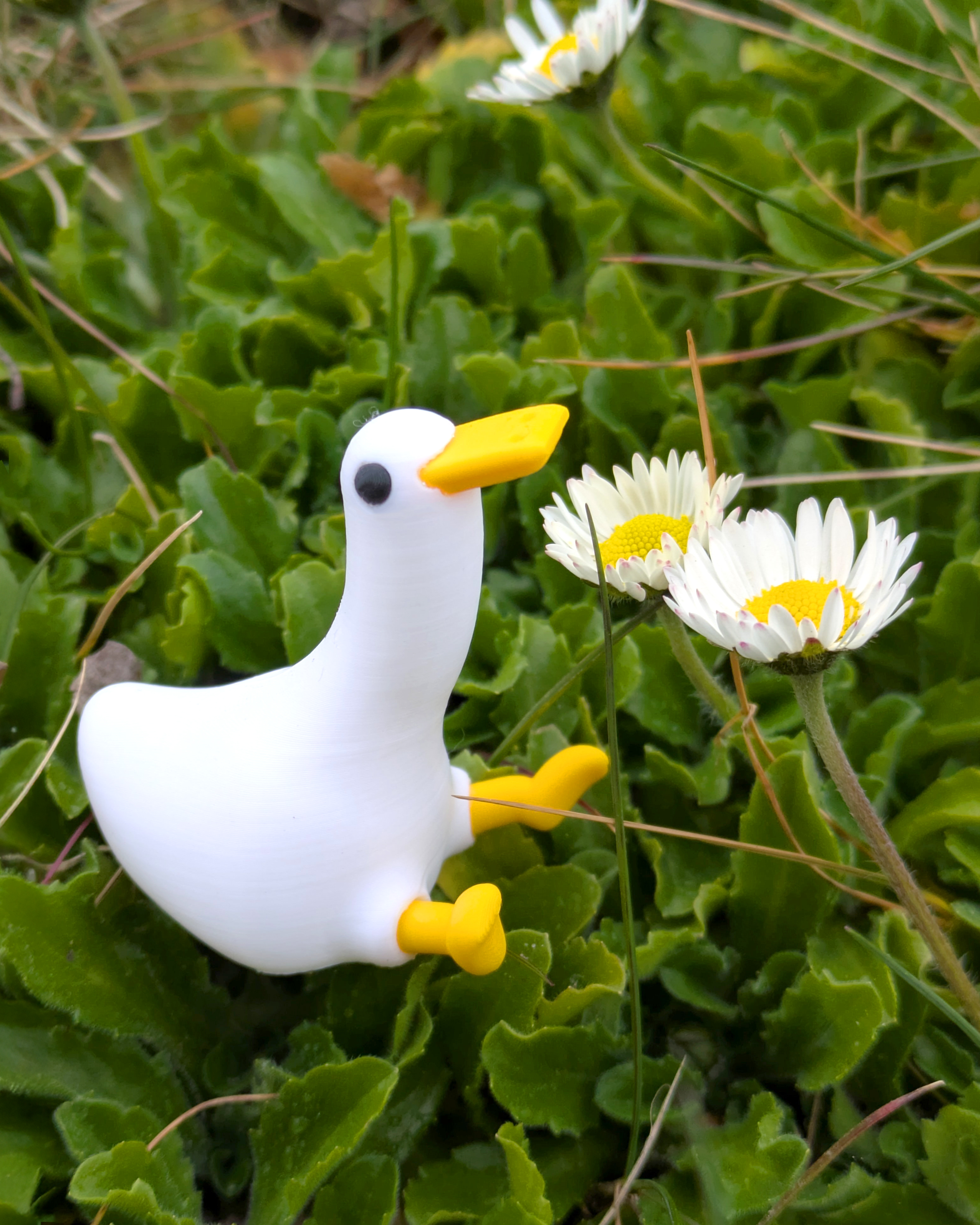 Buck the Wingless Duck // Rejected Animals 3D STL Model