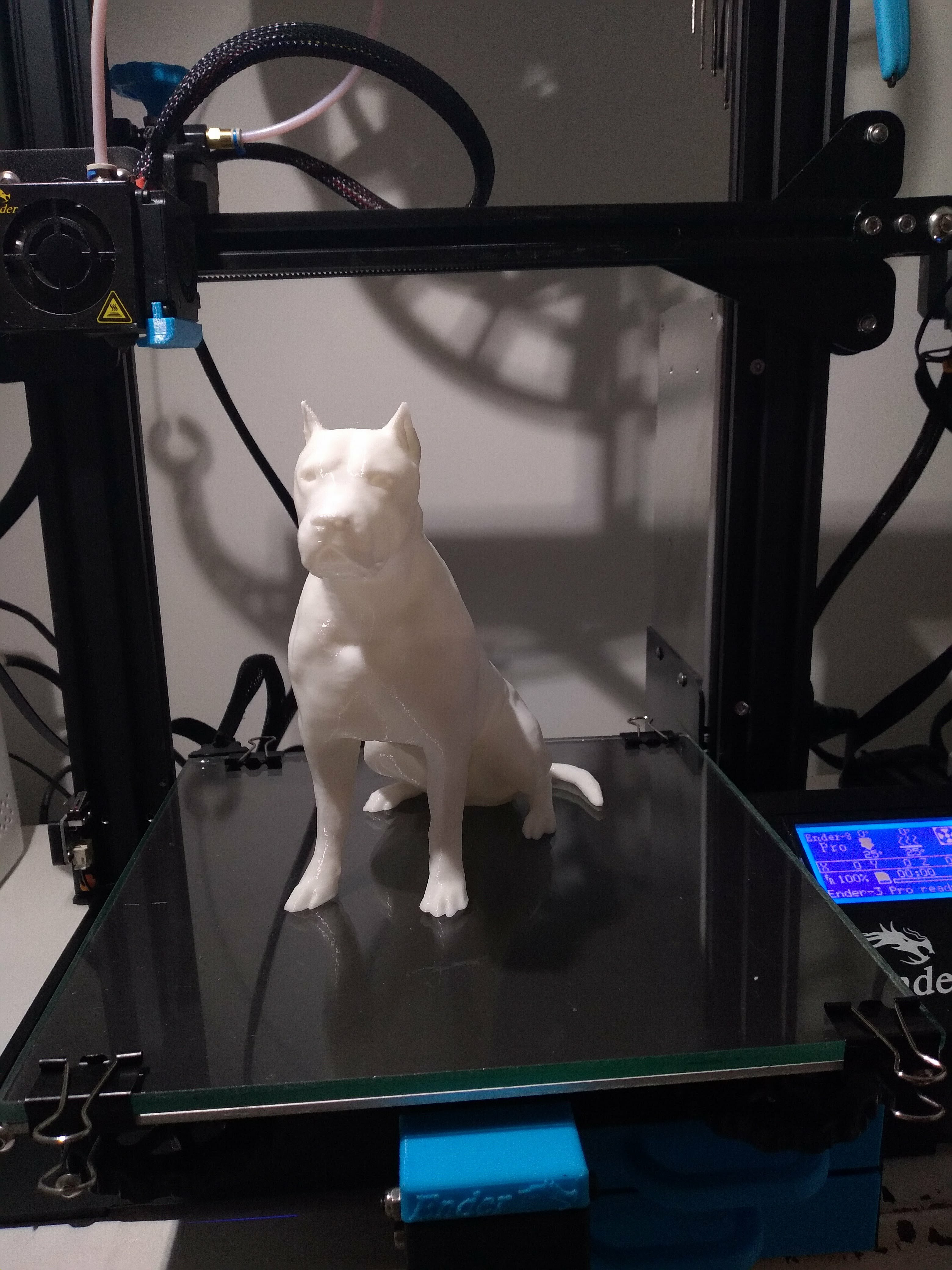 Dogo Argentino 3D STL Model — view 3